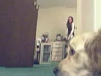 Pet porn of golden retriever fucking its pet owner
